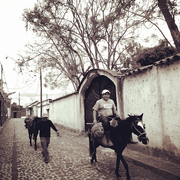 The theme for today is pairs. Let’s start with a pair of campesinos on their way to work.