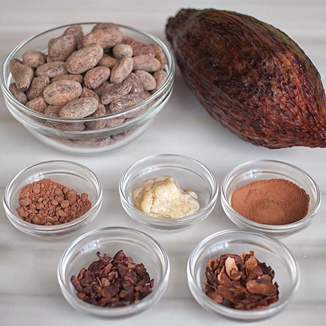 Here are the initial stages of chocolate; can you name each of the process of chocolate?